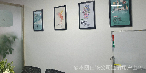 猫头鹰网络科技 智慧与夜行的数字先锋