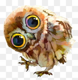 探索手绘猫头鹰的艺术世界 从免费下载到创意应用