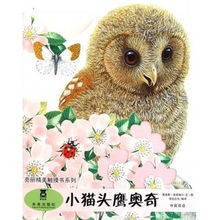 猫头鹰价格查询与比价攻略 从51比购返利网到猫头鹰网络科技